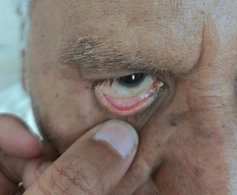 Annotation Tool Screenshot